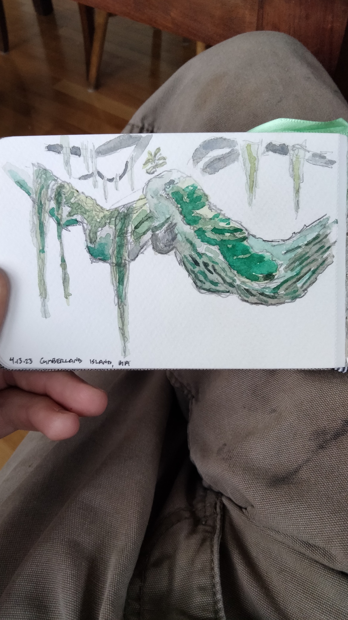 A curving live oak branch with Spanish moss draped over the top.