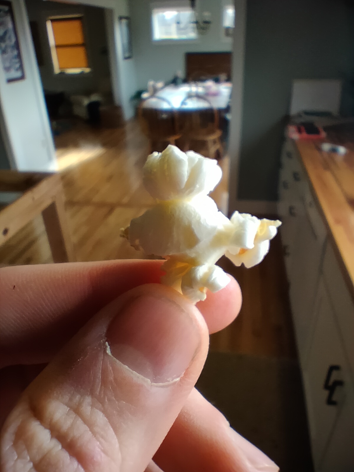 A popper kernel of popcorn that came from corn we grew from seeds we planted.