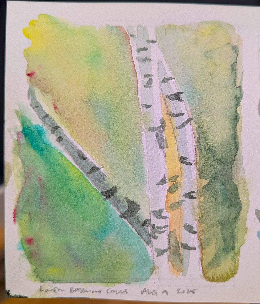 Three birch trees on a vibrant yellow-green background.