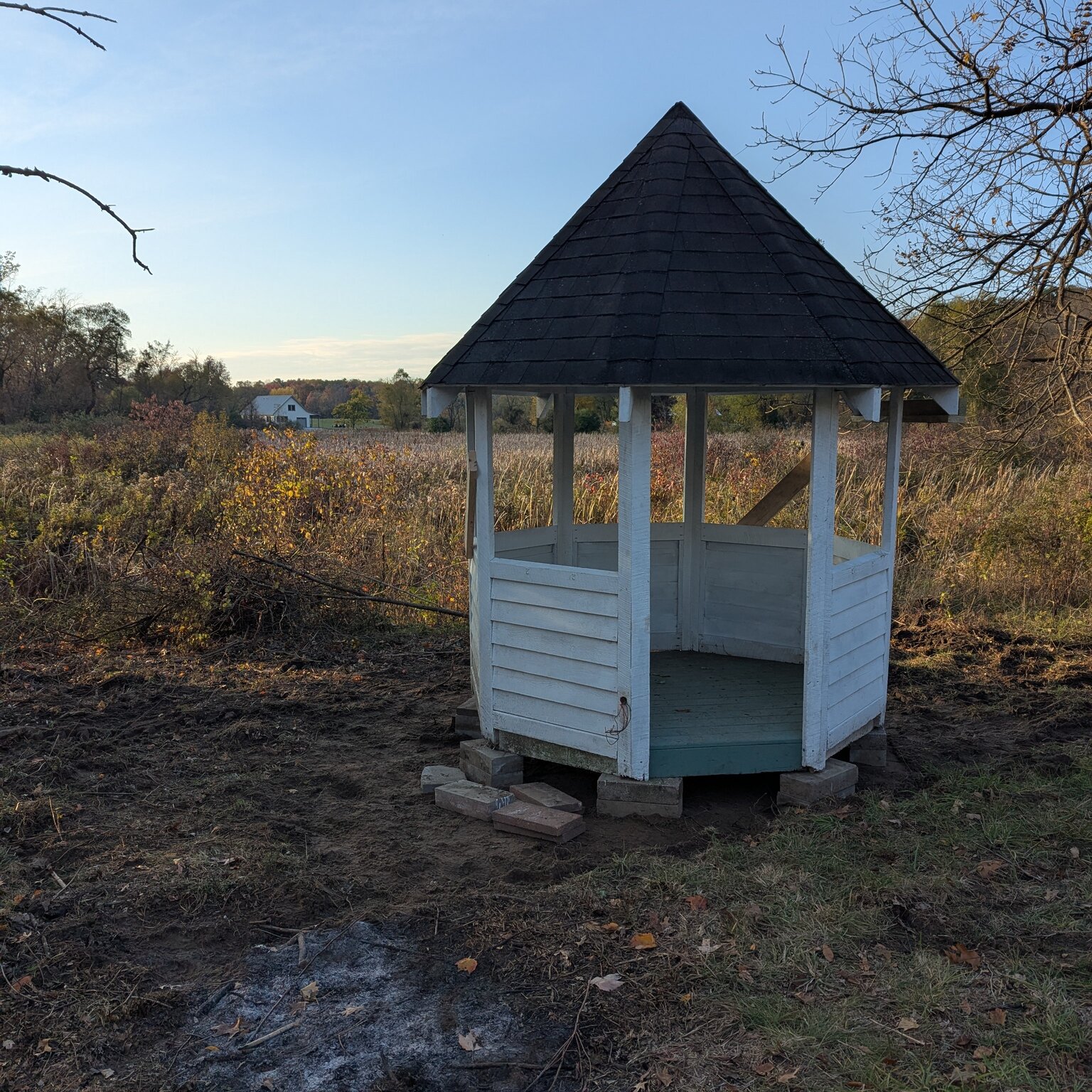 A small white gazebo sits in cleared ground. The background has cattails and tall grasses in marsh. It is nearly sunset.