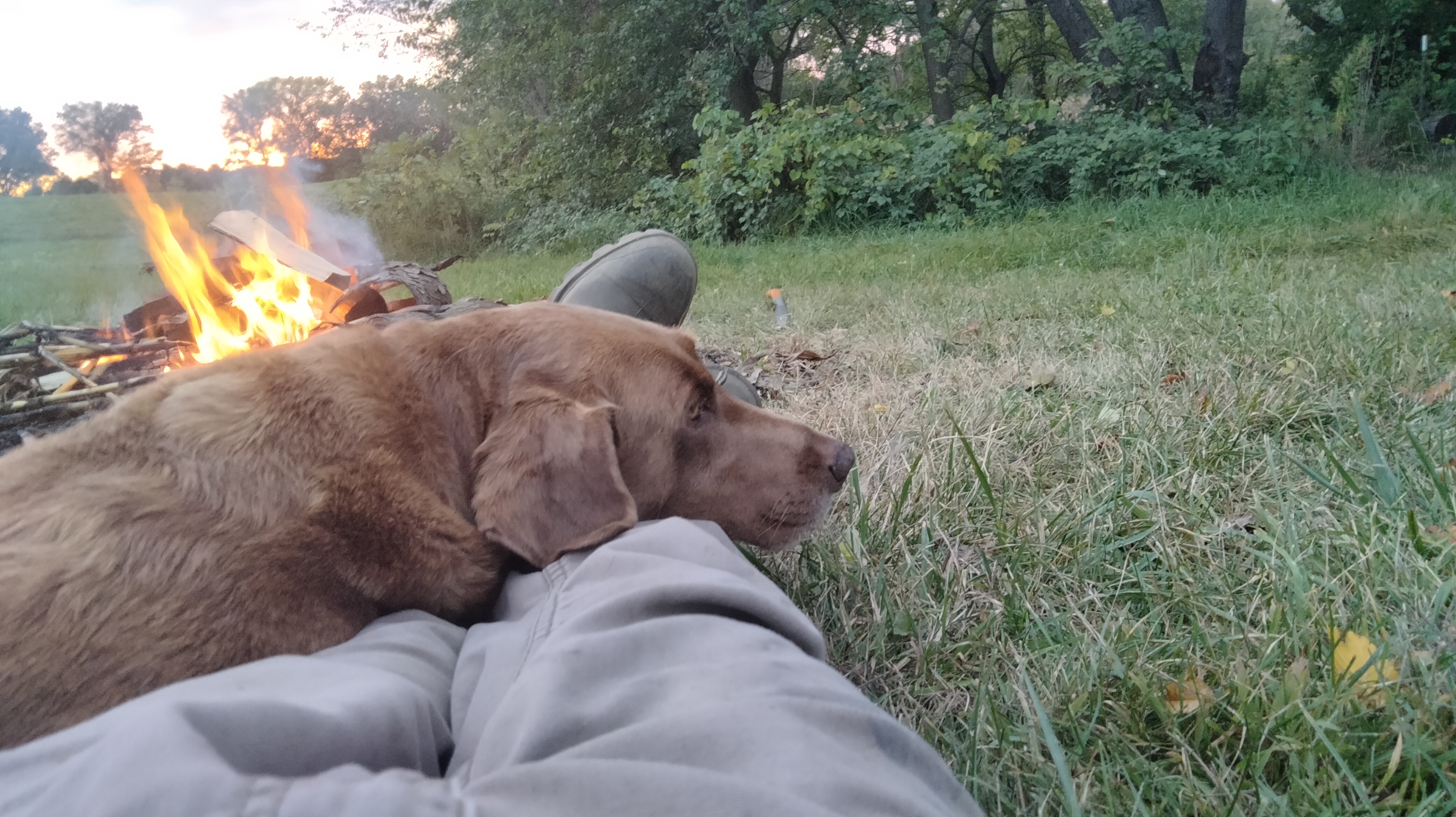 Two legs stretched out on the ground toward a fire. A brown dog is laying across the legs.