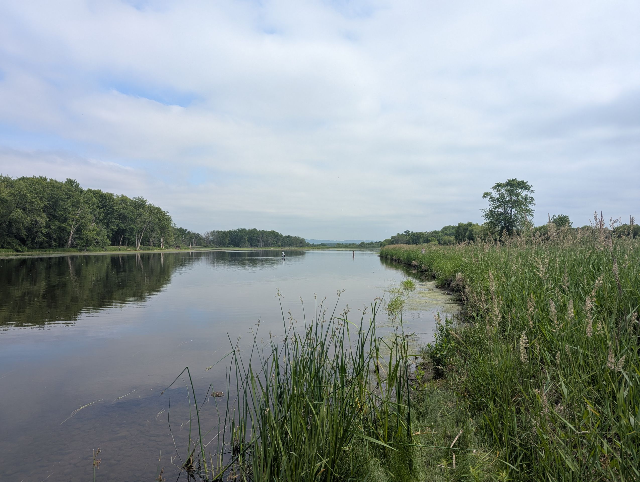 A river landscape. Large trees are on the left side of the picture with tall grasses on the right. Two people fishing are just visible.