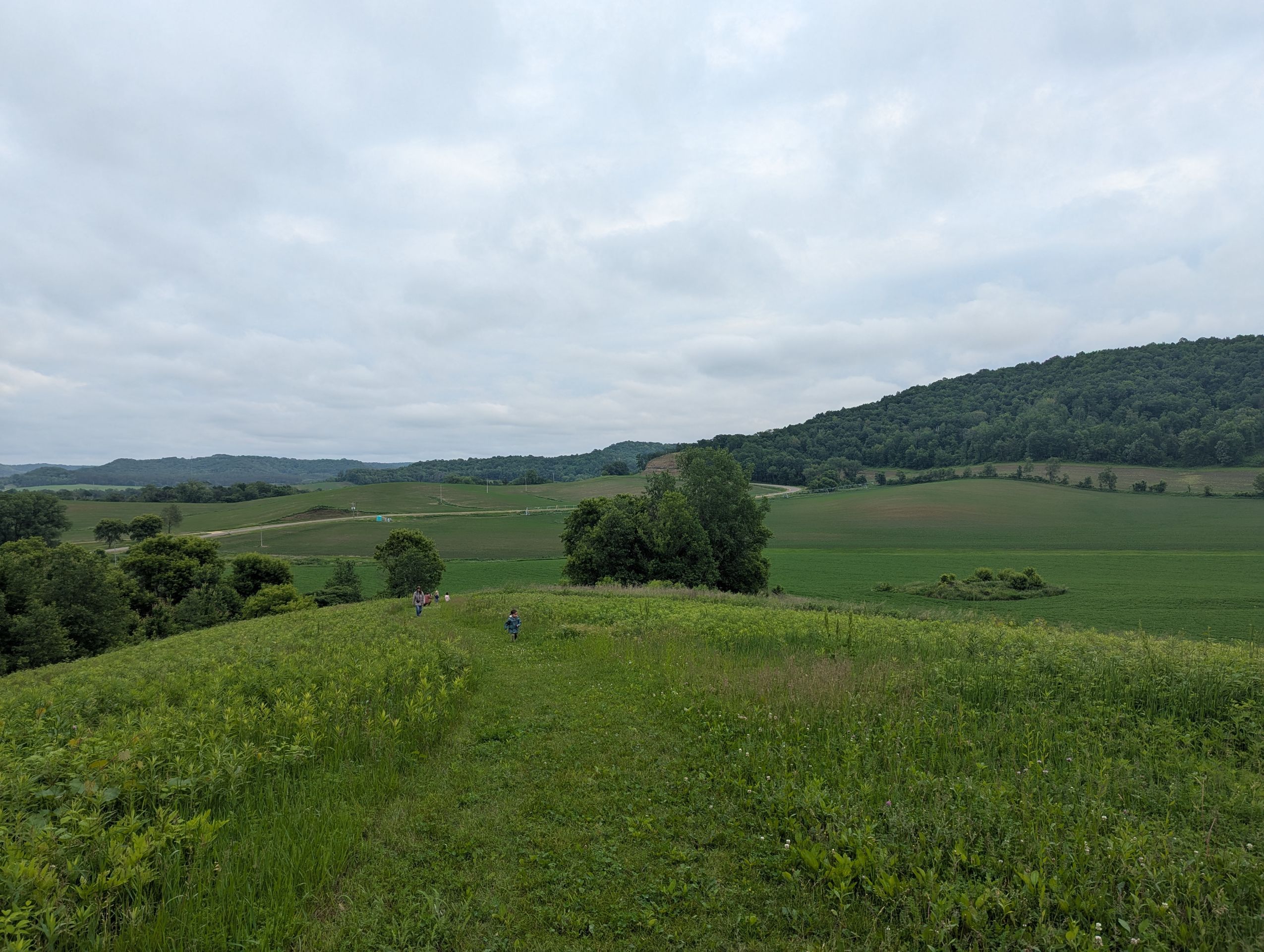 A large farm in Wisconsin that is also a pizza restaurant on the weekends.