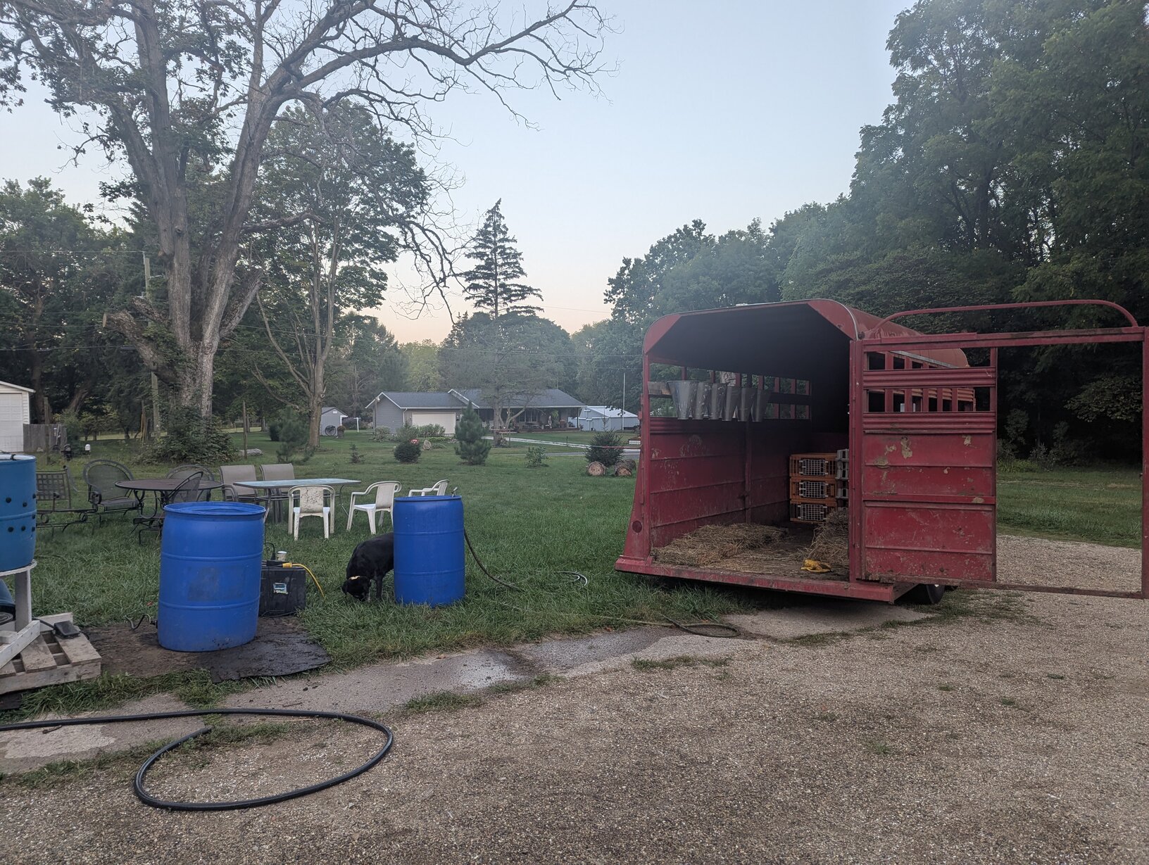 A red trailer stands open. Some chicken processing equipment is on the right.