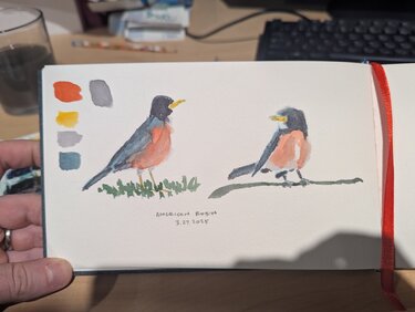 Two robins painted. They're both loose, showing the general form and color of the birds.