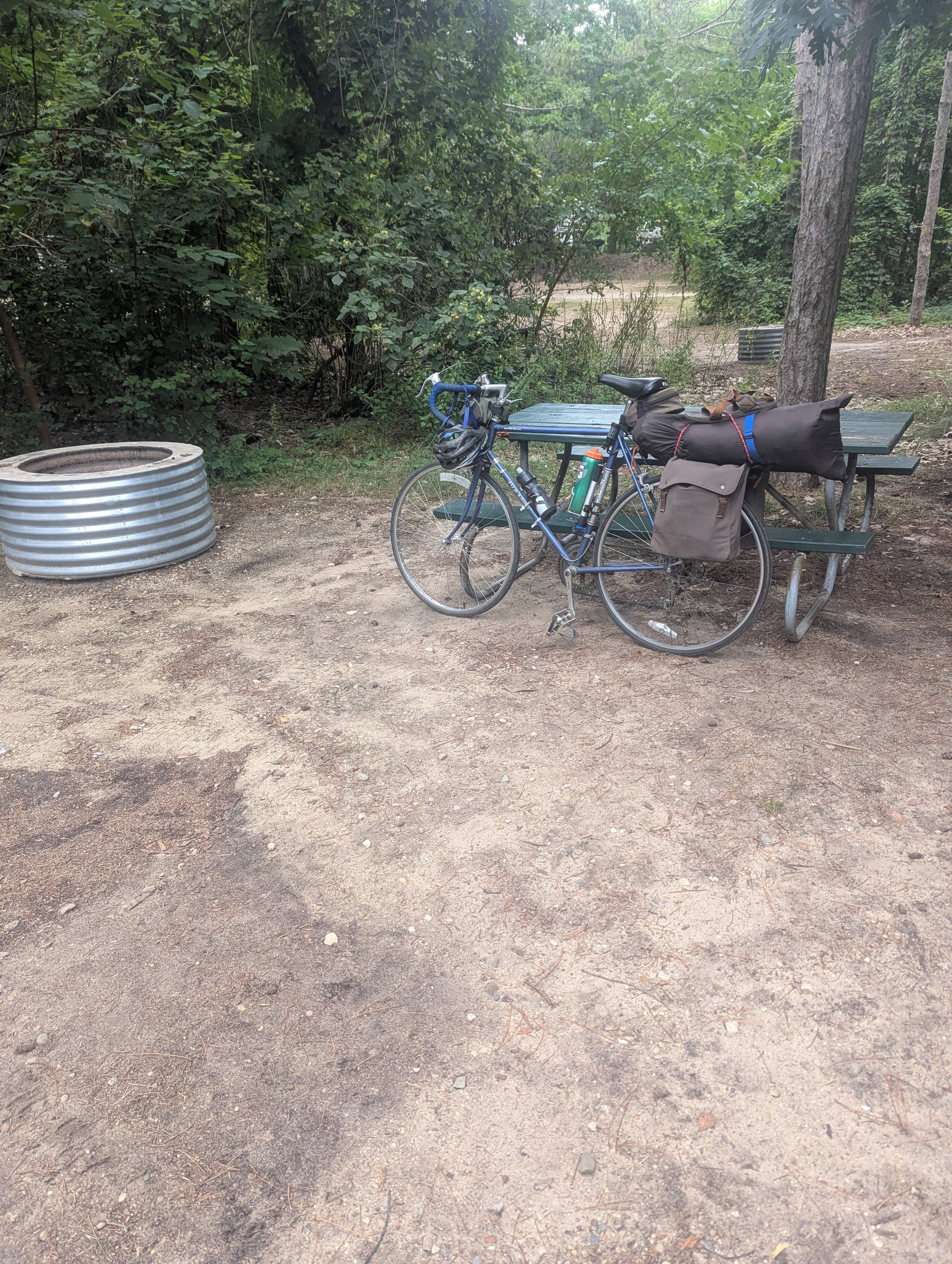 The loaded bicycle leaning against a picnic table at a state park campsite.