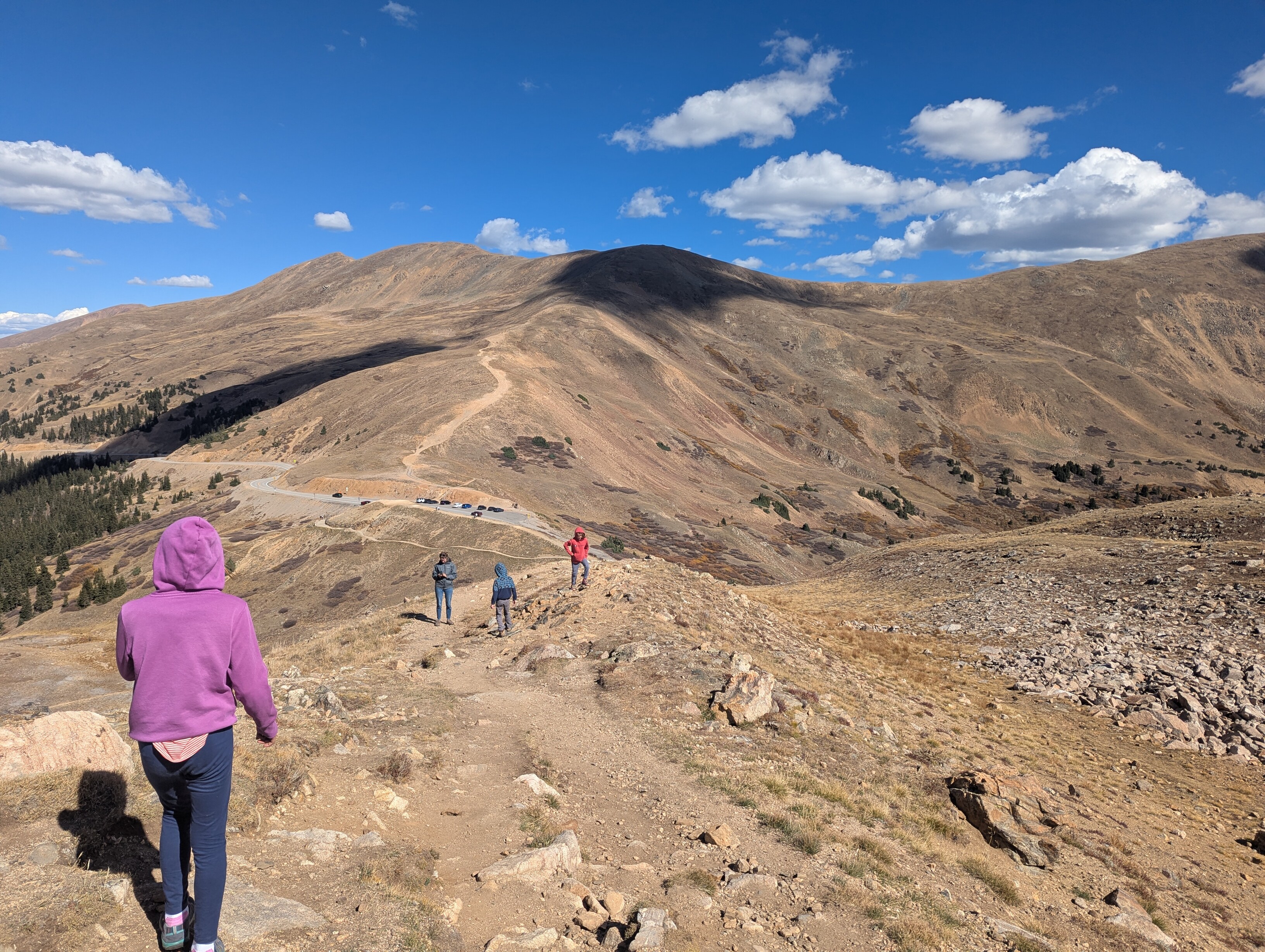 Three kids and a woman standing on a mountain. There are no trees. All are wearing sweatshirts because it is cold out. A road and cars are seen far below the viewpoint of the camera.