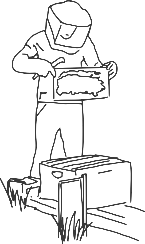 A decorate line drawing of a beekeeper working with frames in a beehive.